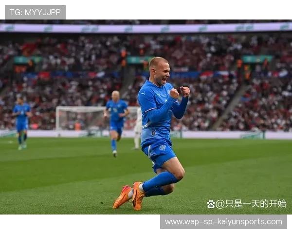 冰岛队实现欧洲杯正赛资格，成为黑马热门，冰岛欧洲杯预选赛成绩